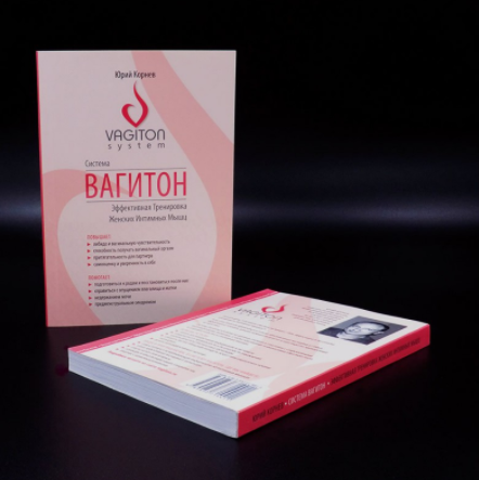 Система вагитон - Корнев (2015)_0.png